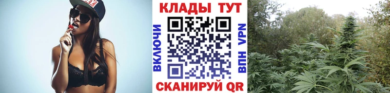 Где найти наркотики Боровск Бошки Шишки  Псилоцибиновые грибы  ГАШИШ  СОЛЬ 