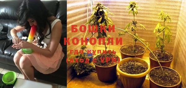 стафф Рославль