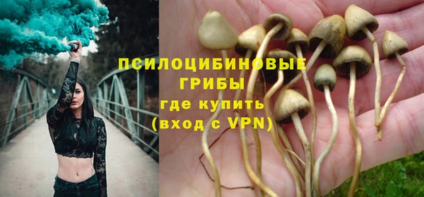 спиды Россошь